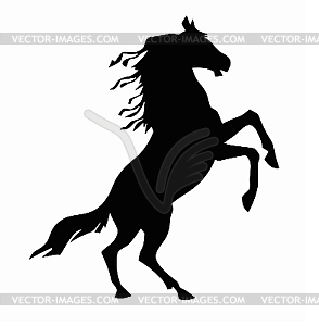 Horse gets up on his hind legs - vector clipart