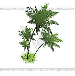 Four palms of green color. - vector image