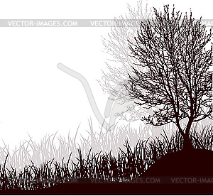 Tree standing in grass - vector image