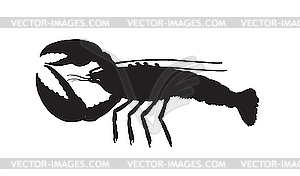 Hurrying river cancer - vector clipart