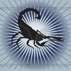 Hurrying Scorpio. - color vector clipart