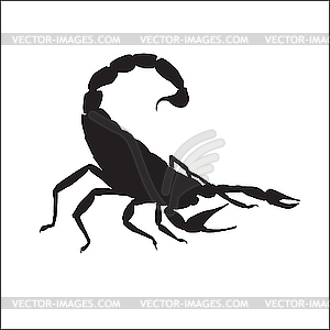 Hurrying Scorpio. - vector image