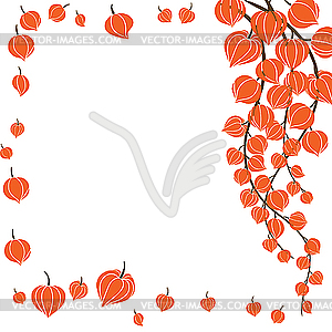 Beautiful orange flowers. - vector image