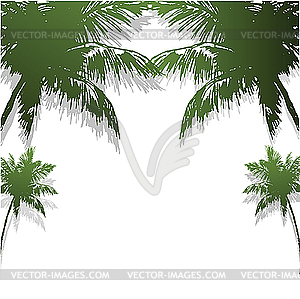 Four green silhouettes of palm trees. - vector clip art