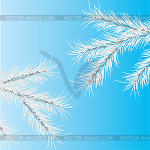 Gray branch of pine. - vector clip art