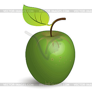 Зеленое яблоко - изображение в формате EPS