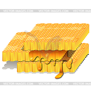 Honey - vector image