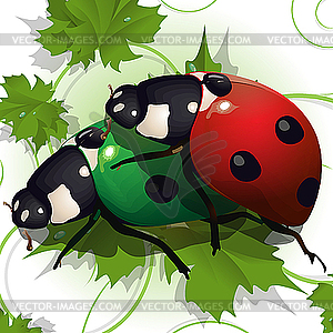 Ladybirds - vector clipart