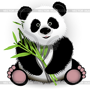 Panda - vector image