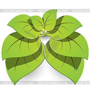 Plant - vector clipart