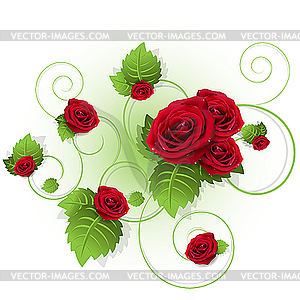 Roses - vector clipart