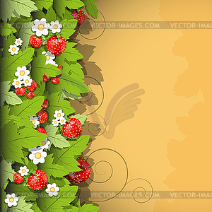 Strawberry background - vector image