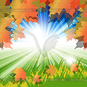 Autumn leaves - vector image