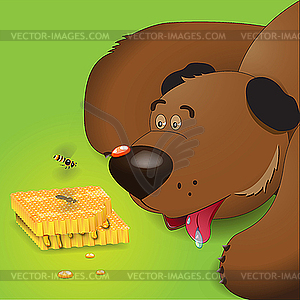 Bear and honey - vector clipart