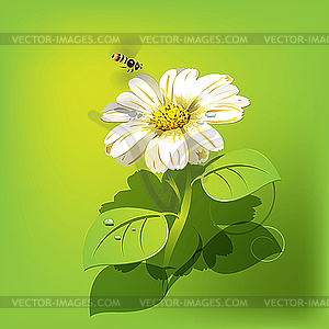 Bee on flower - vector clip art
