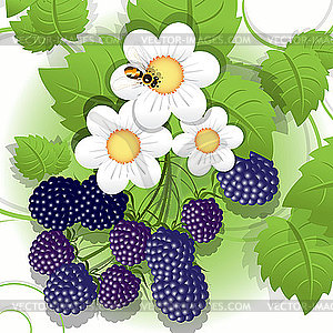 blackberries clip art