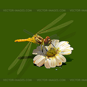 Dragonfly on flower - vector image