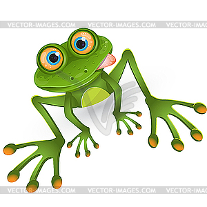 Frog cartoon - vector image