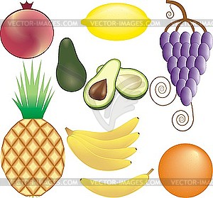 Fruits - vector clipart