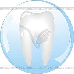 Зуб - векторный клипарт