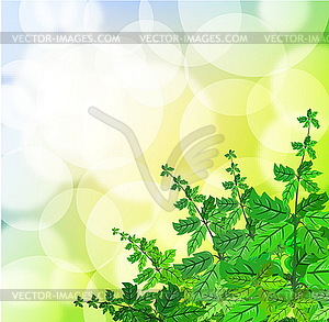 Green spring background with grass and blurry light - vector clipart