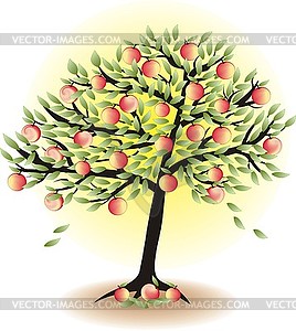 Fruit tree with leaves and apples - vector clip art