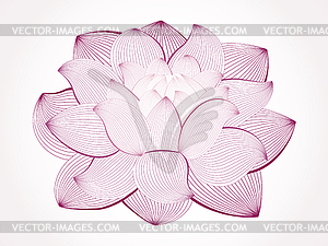 Lotus flower - vector clip art