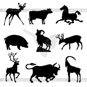 Ungulate animal silhouettes - vector image