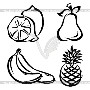 Fruits - vector image