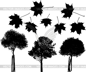 Tree and maple leaves silhouettes - vector clipart