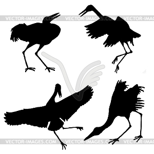  silhouette of the cranes  - vector image