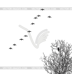  silhouette geese in sky and crow on tree - vector clipart / vector image