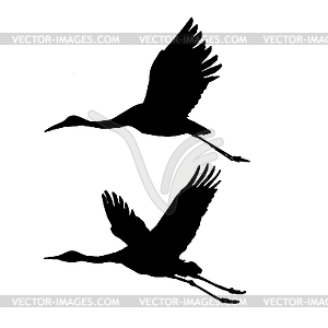 Silhouettes of flying cranes - vector clipart