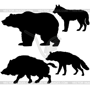 Silhouettes of the wild boar, bear, wolf, hyena - vector clipart