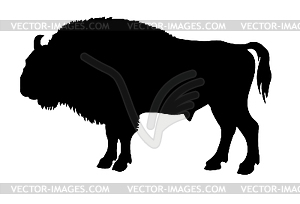  silhouette of the buffalo - vector clip art