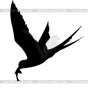  silhouette of the sea bird - white & black vector clipart