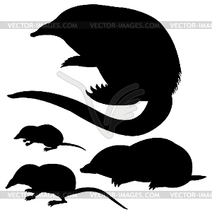  silhouette of the mole, mouse and desmans - vector clip art