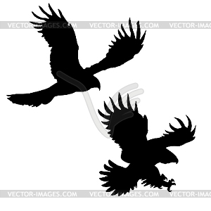 Silhouette of the ravenous birds - vector image