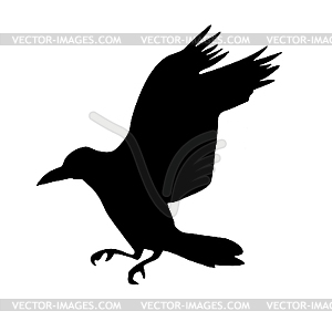  silhouette of the raven  - vector clip art