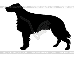  silhouette of the setter  - vector clip art