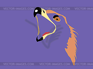 Silhouette of eagle head - vector image
