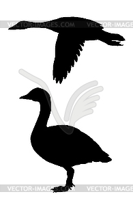  silhouette goose - royalty-free vector clipart