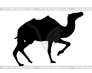  silhouette camel - vector image