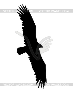  flying birds - vector clipart / vector image