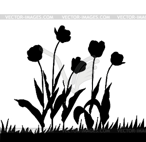  drawing tulip - vector clipart