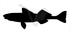  silhouette of fish - vector image