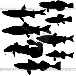  silhouette of fish - vector image