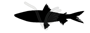  silhouette of fish - vector clip art