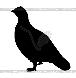 Silhouette of partridge - vector clipart