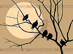  migrating starling on branch tree  - vector clipart / vector image